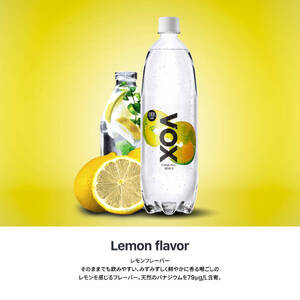 強炭酸水 【3か月定期便】VOX レモンフレーバー バナジウム 1000ml 15本 炭酸