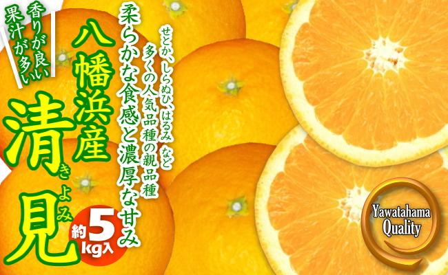 
C28-21.あふれる果汁と濃厚な甘み！「清見」5kg入
