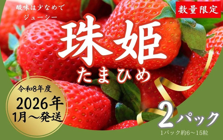 【2026年（令和8年）1月～発送】いちご 苺 珠姫（たまひめ）×２パック めいとく農園