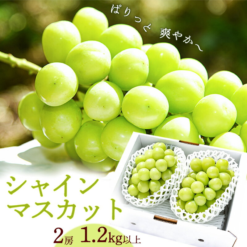【ふるさと納税】 シャインマスカット 計1.2kg以上（2房） 山形県産 2025年産 令和7年産 【2025年9月中旬頃～10月中旬頃発送予定】 ※配送不可 沖縄・離島 果物 葡萄 フルーツ 人気 ぶどう 大粒 ブドウ 種なし ギフト 産地直送 国産 ふるさと納税 シャインマスカット