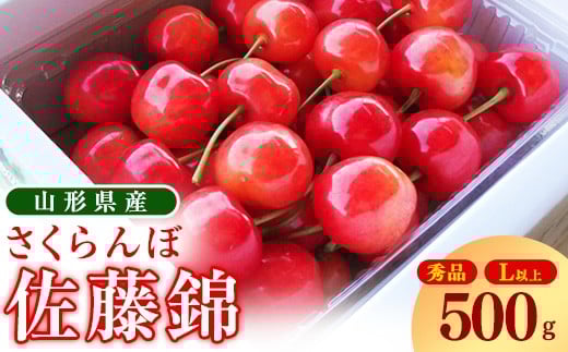 【先行予約】令和8年産 さくらんぼ 「 佐藤錦 」500g 秀品 Lサイズ以上 2026年産 山形県産【2026年6月上旬頃～下旬頃発送予定】 ※ 配送不可 沖縄・離島　015-A-OT007