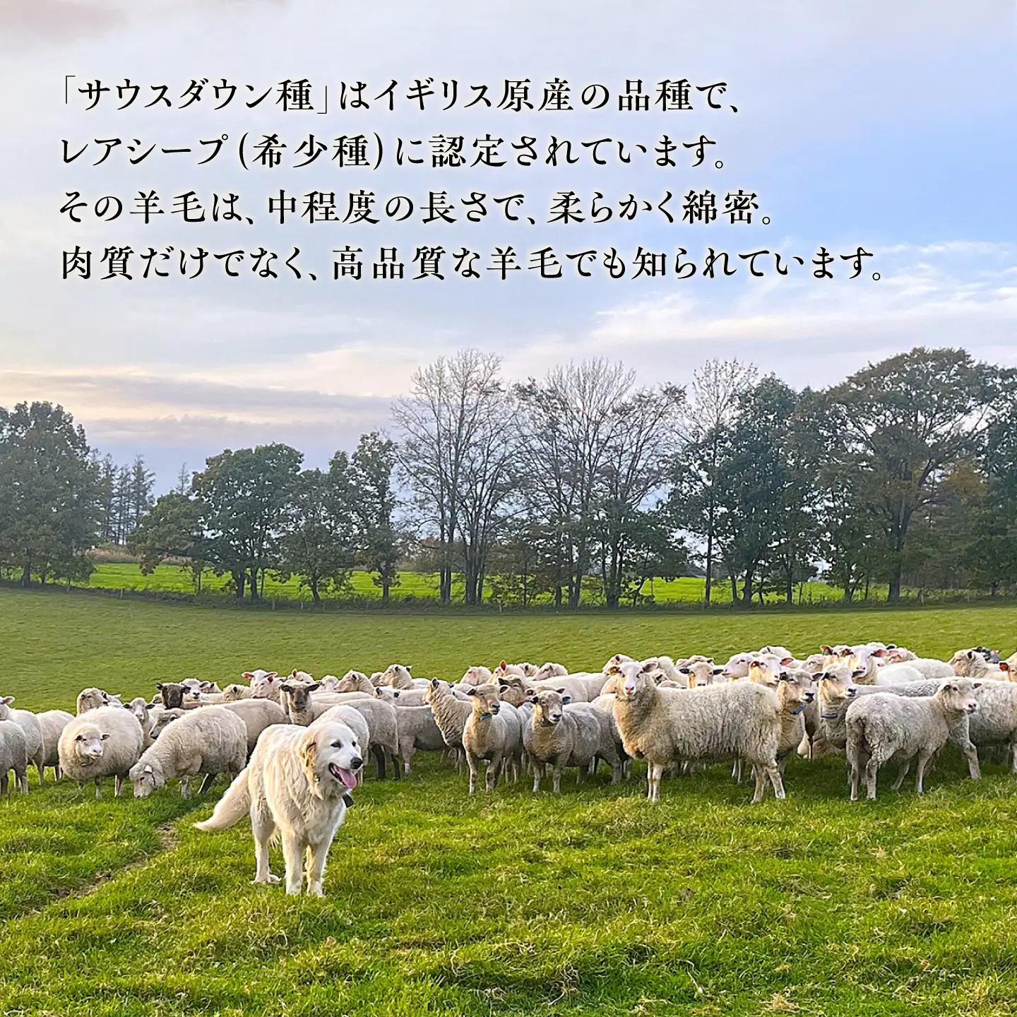 職人手作りの羊毛掛け布団（シングル）掛け布団 [BEAD008]