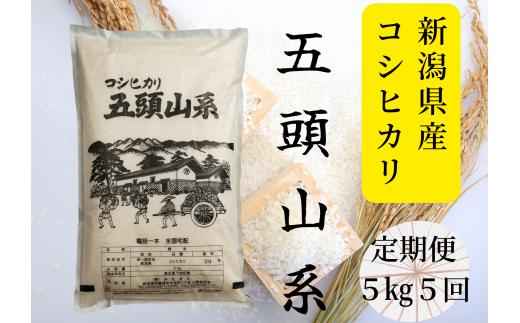 【令和7年産】【5回定期便】「米屋のこだわり阿賀野市産」コシヒカリ５kg×5回 新潟県 米 こめ コメ 白米 精米 9月下旬より順次新米へ変更 1E22050