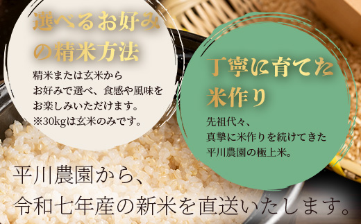 令和7年産新米【白米/玄米選べる 5kg】 くまさんの輝き 5kg (令和7年10月中旬より順次発送) 新米 熊本県 多良木町 お米 5キロ 米 白米 精米 玄米 107-0701