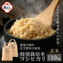 【ふるさと納税】【令和6年産 新米】コシヒカリ 玄米 10kg 特別栽培米 5kg×2袋 無農薬 化学肥料不使用 / 伊与衛門農園の特別栽培米 高品質 鮮度抜群 福井県 あわら市産 ブランド米 R6 北陸