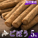 【ふるさと納税】【先行予約】愛菜屋 の めむろごぼう 5kg 【2025年10月より配送予定】先行受付 めむろ ごぼう 牛蒡 野菜 特産品 北海道 十勝 芽室町