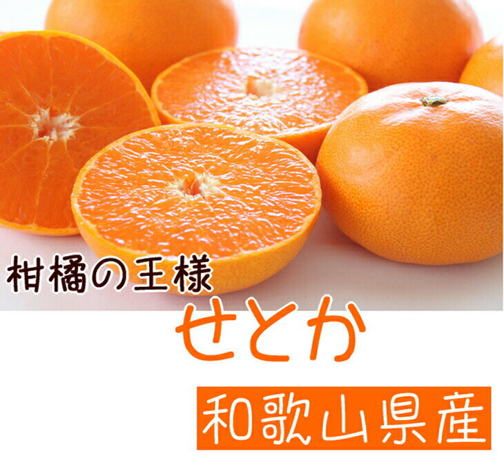 【ふるさと納税】【2026年先行予約】柑橘の王様 和歌山有田の濃厚せとか 4～5kg【ミカン 蜜柑 春みかん 柑橘】