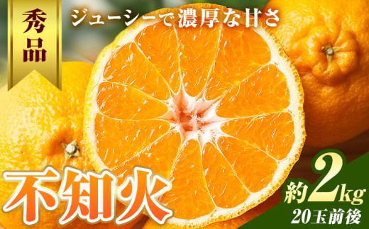 不知火 秀品 約2kg 20玉前後 農園誉《2027年2月上旬-2月下旬頃出荷》 和歌山県 日高川町 不知火 みかん ミカン フルーツ 果物 柑橘