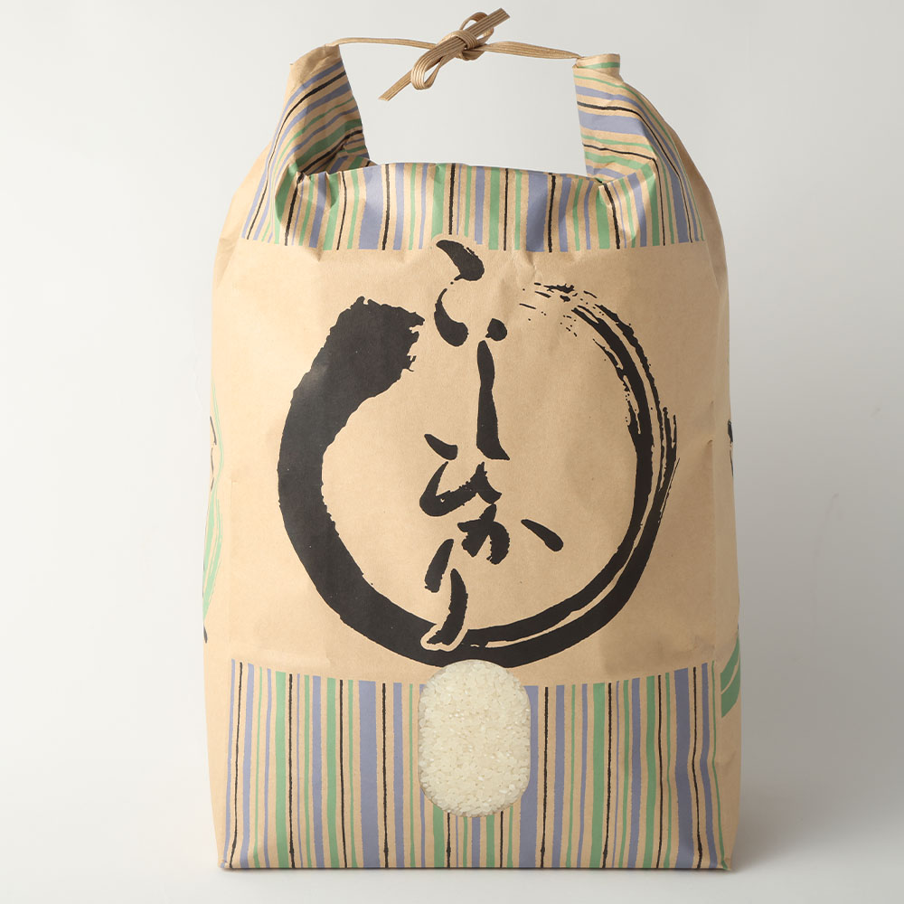 【先行予約】令和７年産 新米 コシヒカリ精米5kg（1袋）白米 お米 ご飯 米 kome こめ コシヒカリ こしひかり 高知県産 5キロ 故郷納税 返礼品 高知 土佐清水市 【R01408】