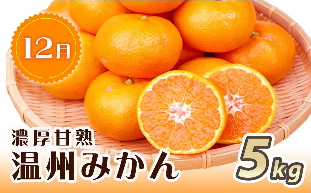 紀州和歌山産旬のフルーツセット（桃・平核無柿・みかん）【UT60】