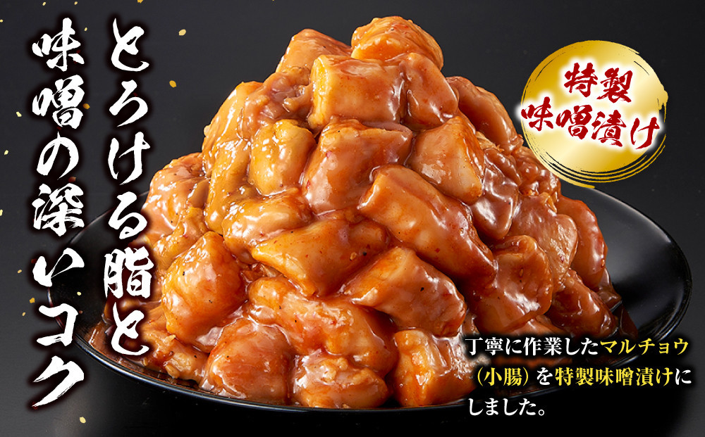 ＜訳アリ＞牛マルチョウ　特製味噌漬け　0.9kg(300g×3）【2026年1月発送】