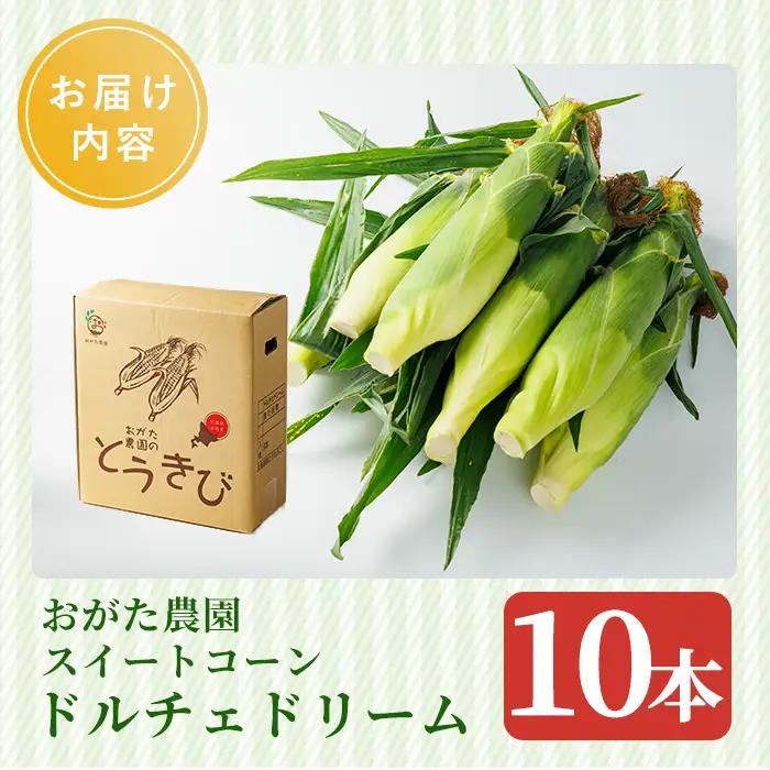 とうもろこし ドルチェドリーム 10本 北海道 士別 2026年7月下旬以降発送予定【おがた農園】A7148