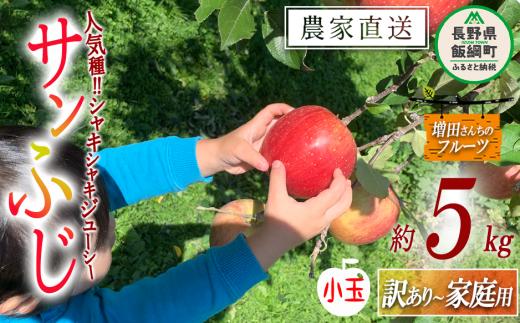 りんご サンふじ 家庭用 〜 訳あり ( 小玉 ) 5kg 増田ファーム 沖縄県への配送不可 2026年11月下旬頃から2027年1月上旬頃まで順次発送予定 令和8年度収穫分 信州 果物 フルーツ リンゴ 林檎 長野 予約 農家直送 長野県 飯綱町 [0597]