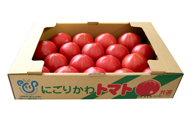 トマト（大玉系）約4kg