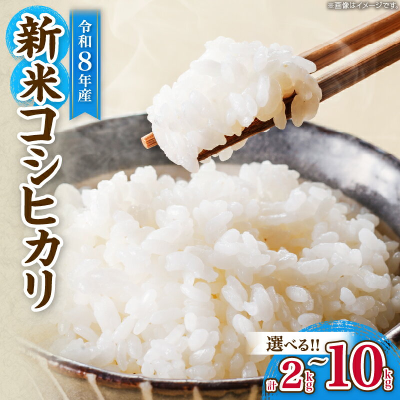 【ふるさと納税】≪内容量が選べる≫ 令和8年産 新米 コシヒカリ お米 ご飯 ライス 国産 食品 精米 白米 こしひかり 有洗米 おにぎり お弁当 炊き込みご飯 雑炊 ギフト プレゼント 贈り物 お取り寄せ 産地直送 宮崎県 日南市 送料無料