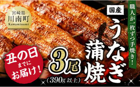 【丑の日までにお届け！】 ひむか 山道うなぎ 蒲焼3尾分 (390g以上) 【 国産 九州産 宮崎県産 うなぎ ウナギ 鰻 鰻の蒲焼き 蒲焼 】