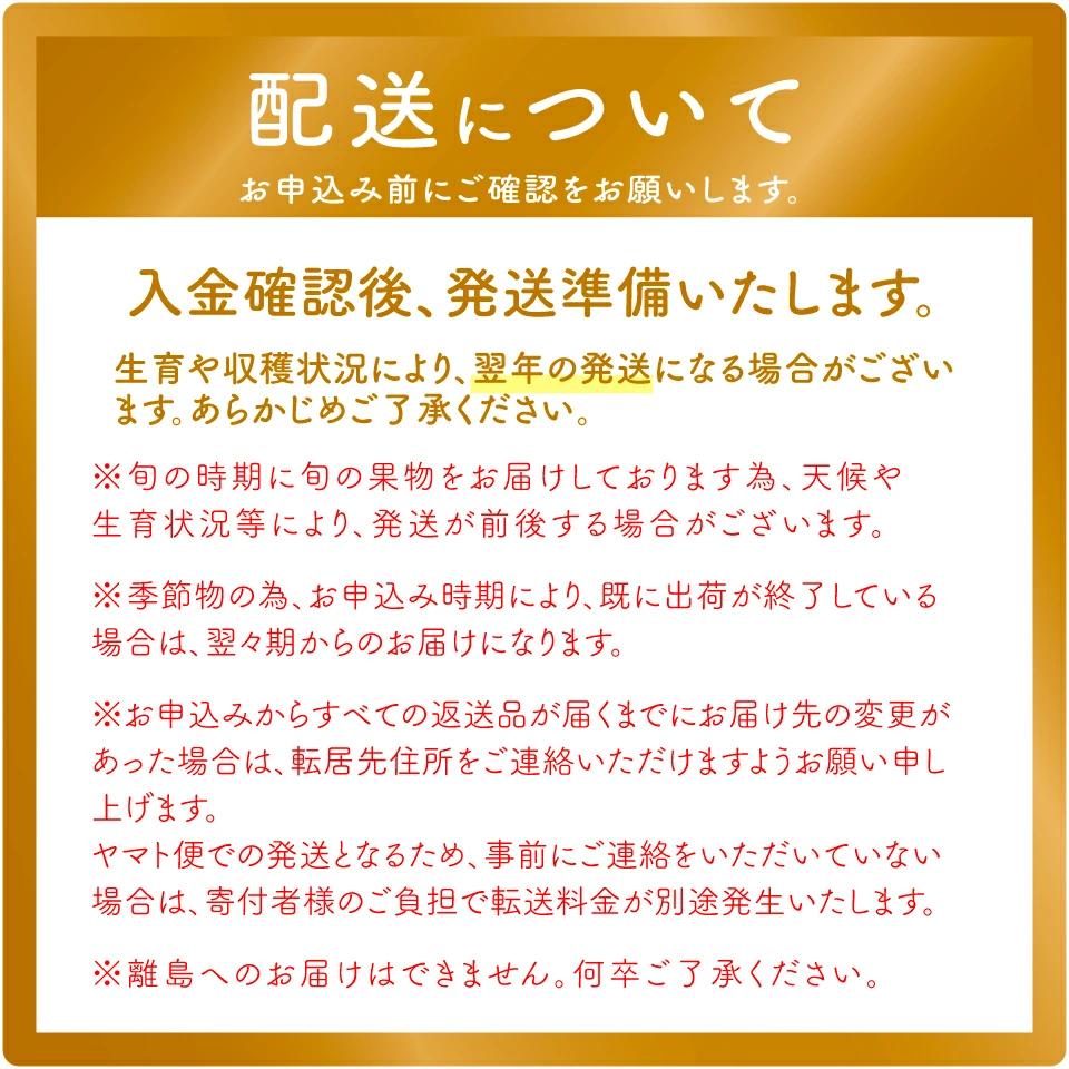 （全2回）佐川町産フルーツ 定期便 　いちご 梨