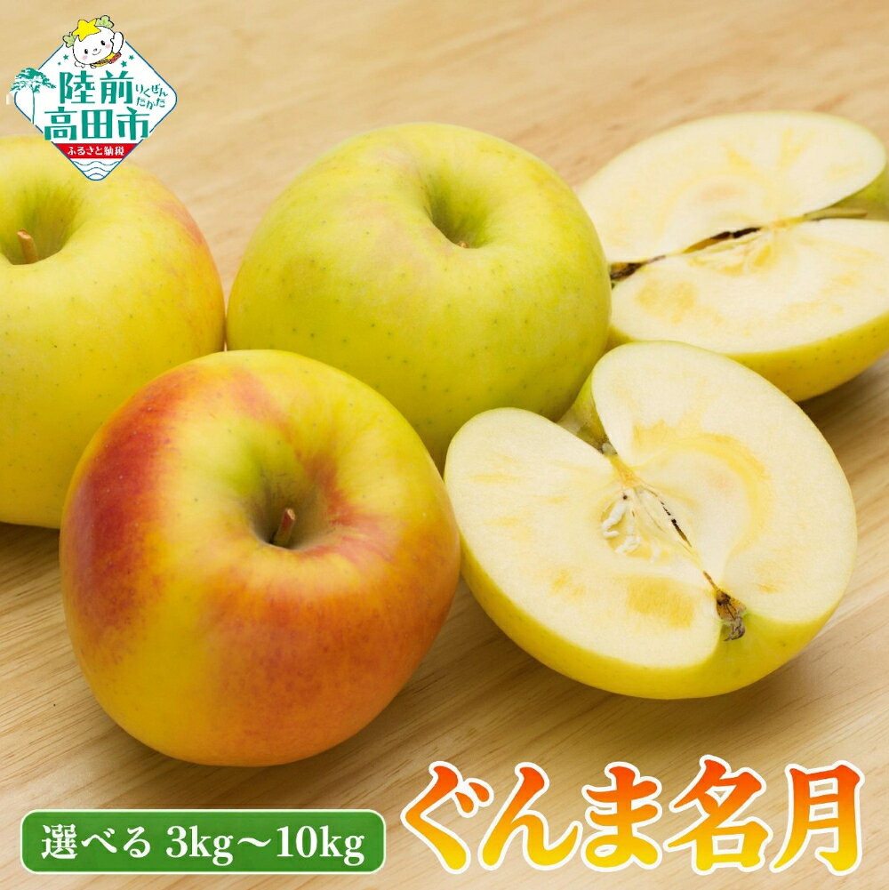 【ふるさと納税】りんご 〈 品種 ぐんま名月 〉 内容量が選べる 3kg 5kg 10kg [ 米崎りんご リンゴ 林檎 旬 果物 フルーツ 期間限定 数量限定 人気 おすすめ お取り寄せ 甘い もぎたて 家庭用 訳あり わけあり ジャム 国産 東北 岩手 陸前高田 ]