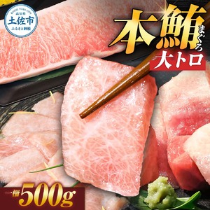 【大トロ】本マグロ 500g 大トロ [BQAA035]