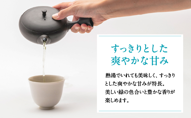 茶問屋のあまくておいしい鹿児島茶 5本セット　K112-006