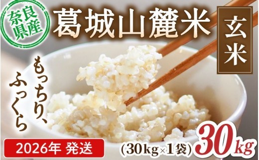 
                  先行予約 葛城山麓米 ヒノヒカリ（玄米）計30kg [ 30kg×1袋 ] 令和8年産 【2026年10月下旬～順次発送】／ スマイル葛城農業 若手農家 玄米 栄養 新規就農 ごはん お米 米 おいしい ふっくら 農家直送 奈良県 葛城市【smlk027】
                
