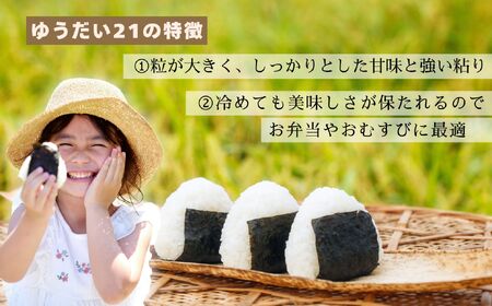 【令和７年産 新米】 七〇八米 ゆうだい21 精米 5kg (7-81) お米 コメ 白米 ご飯 長野県 信州 飯山市 新米 令和7年 ゆうだい 産地直送 農家直送 低農薬