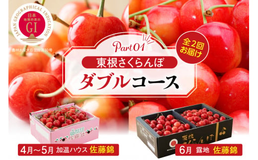 【2025年産 先行予約】東根さくらんぼ ダブルコース （佐藤錦加温500g、佐藤錦露地900g） 山形県 東根市 hi001-035-1