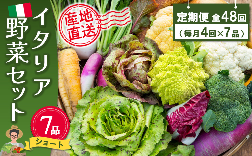 
年間定期便48回 イタリア野菜セットショート 7品 【有機野菜 おまかせ野菜セット イタリア野菜 西洋野菜 定期便】(H078128)
