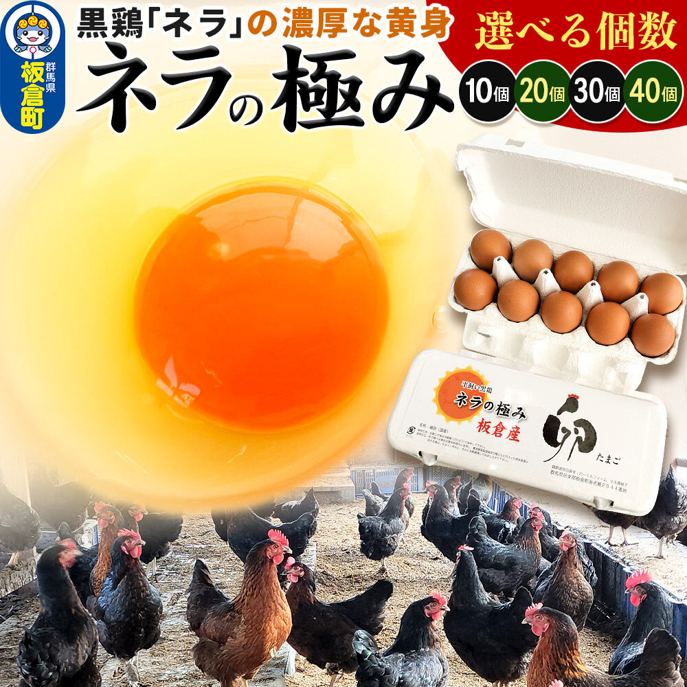 【ふるさと納税】ネラの極み 卵 たまご【選べる個数 10個（10個×1P）／20個（10個×2P）／30個（10個×3P）／40個（10個×4P）】 [ネラの極み 卵 たまご 玉子 タマゴ 黄身 濃厚 コク オランダ原産 黒鶏 群馬県 板倉町]