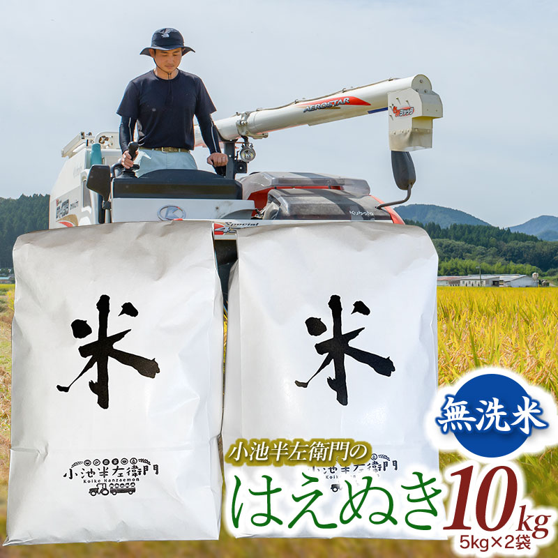 数量限定 【令和7年産】 山形県庄内産 小池半左衛門のお米 はえぬき 無洗米 10kg (5kg×2袋)