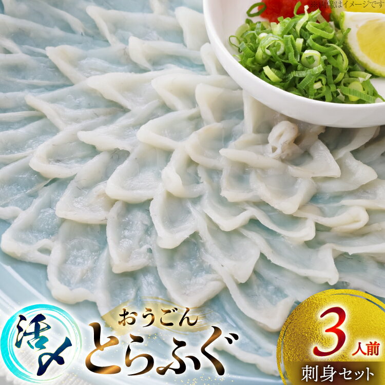 【ふるさと納税】ふぐ 刺身 セット 活〆 おうごんとらふぐ 刺身セット 3人前 [松永水産 長崎県 平戸市 hr42bgy400156] ふぐ刺し とらふぐ フグ 河豚 てっさ 魚介 さかな お刺身 刺身用 さしみ 冷凍 湯引き 海鮮 切り身