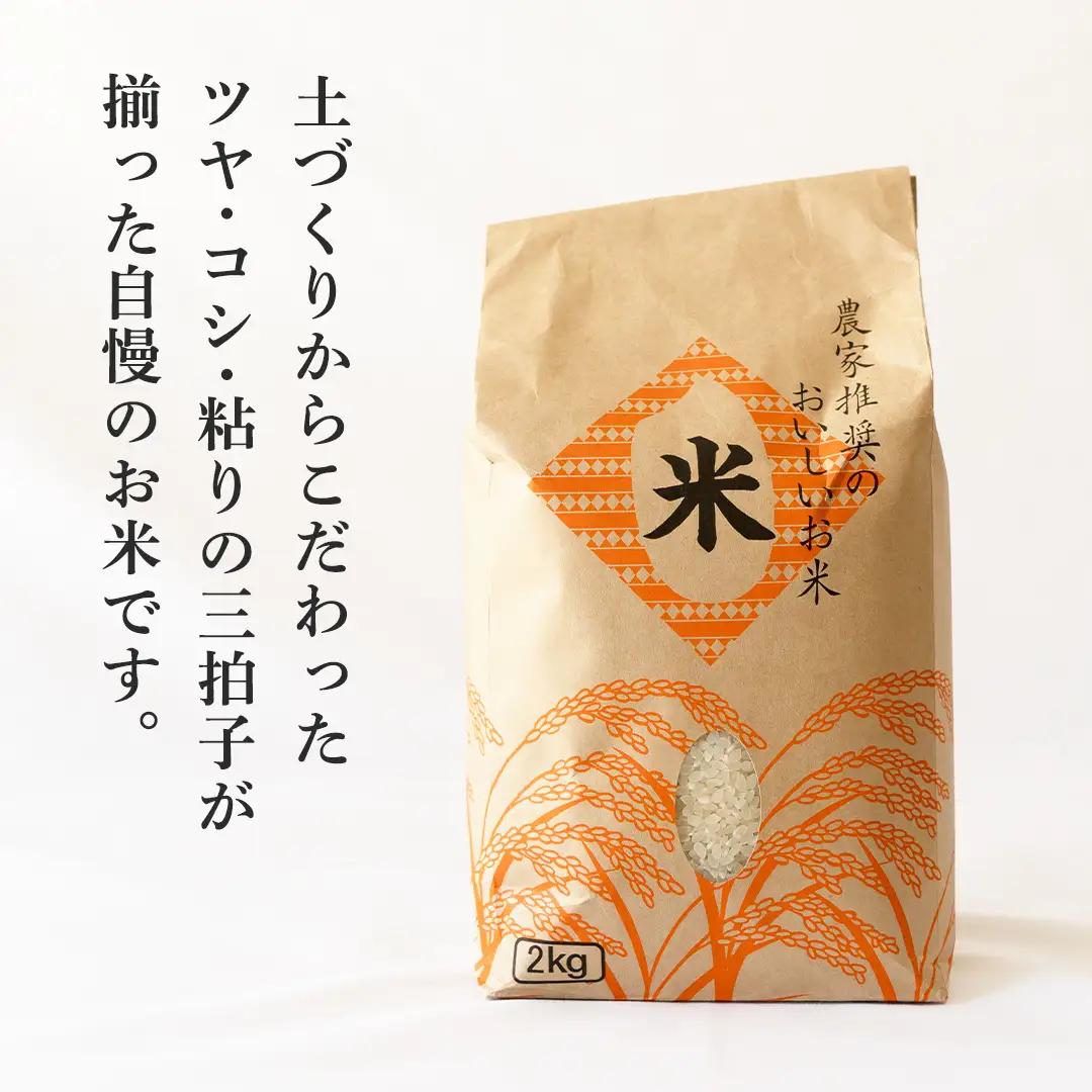たまごかけご飯セット 卵 玉子 たまご 生卵 鶏卵 タマゴ しょうゆ 醤油 米 コシヒカリ 白米 精米 産地直送 平飼い お取り寄せ 詰め合わせ TKG 卵かけごはん 新生活 一人暮らし 桜川市産 茨