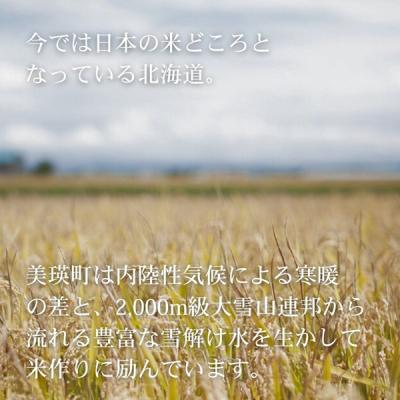 ふるさと納税 美瑛町 【先行予約】＜令和8年産＞美景農園 新米 ななつぼし10kg |  | 01
