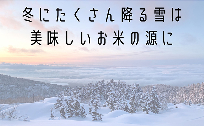 ◆2ヶ月に1回お届け/計3回定期便◆ななつぼし 無洗米 5kg /北海道 上富良野産 ～It's Our Rice～ お米 5キロ 特Ａ 