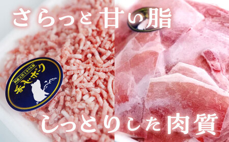 『香心ポーク』切り落とし ミンチ セット 各約250g×8パック（計約4kg）豚肉切り落とし[AYCK027]