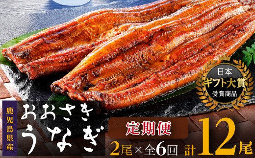うなぎ 定期便 鹿児島県産 長蒲焼 2尾 全6回 合計12尾 国産 うなぎ 鰻 ウナギ 蒲焼き 蒲焼 かばやき 魚 魚介 魚貝 海鮮 うな重 ひつまぶし 蒲焼 訳あり ギフト 人気 おすすめ 鹿児島県 大崎町 大隅半島