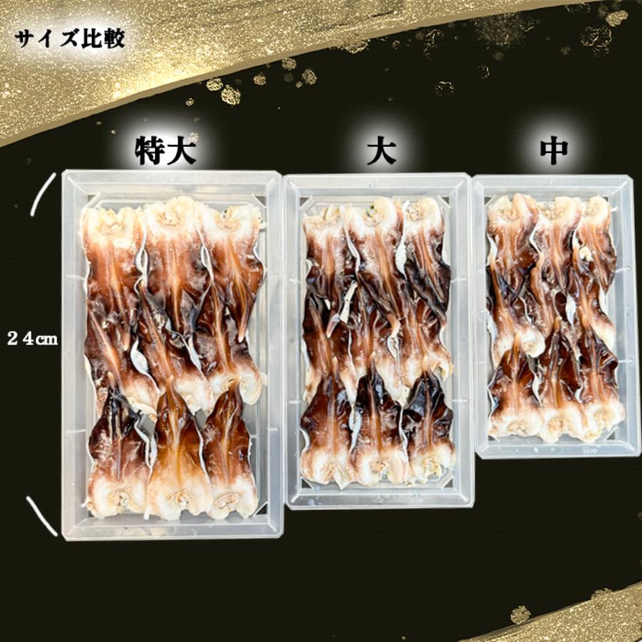 ＜岬水産＞天然「とり貝」お刺身用（大サイズ）9枚入×2（計18枚）