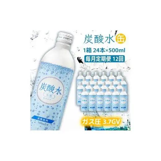 炭酸水 定期便 毎月 12回 500ml×24本 ソーダ