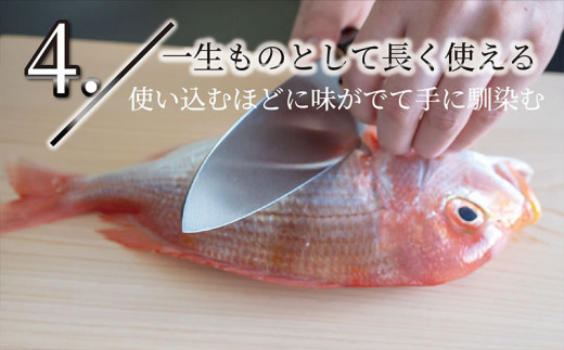 土佐打刃物 2本 出刃包丁 白紙包丁 16.5cm 柳刃包丁 青紙包丁 21cm 料理包丁 ほうちょう おすすめ 包丁研ぎ ブランド 片刃 刺し身 さしみ 刺身 魚 さかな 出刃 旬 三徳 刃物 はもの 柳刃 料理