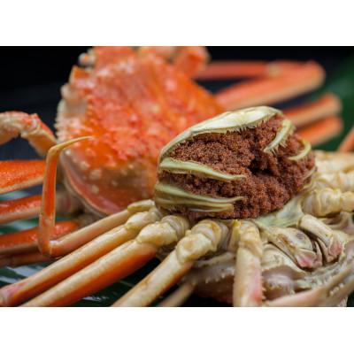 ふるさと納税 京丹後市 驚きの旨さ!茹でセコガニ 【訳あり】 中サイズ5匹入(冷凍) |  | 02