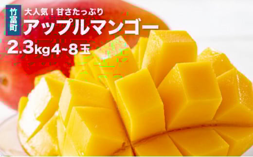 2026年 先行予約 アップルマンゴー 約2.3kg 4～8玉 西表島ひらい農園 マンゴー 果物 フルーツ