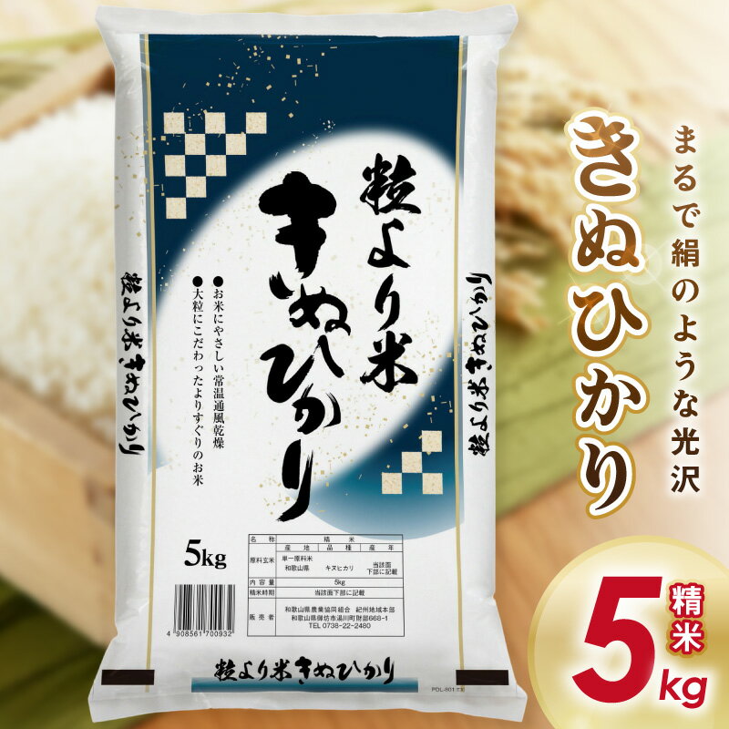 【ふるさと納税】御坊・日高地方産　粒より米　きぬひかり　5kg