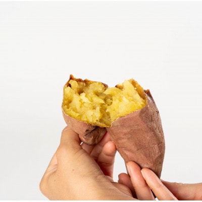 ねっとり甘い熟成蜜芋2点セット(焼き芋×2パック、スイートポテト×6個)【配送不可地域：離島・沖縄県】