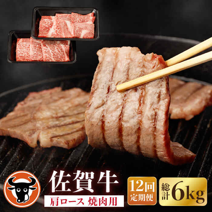 【ふるさと納税】【12回定期便】佐賀牛 肩ロース 焼肉用 計500g（250g×2p） 佐賀県産 黒毛和牛 牛肉 牛 佐賀県嬉野市/一ノ瀬畜産 [NAC154]