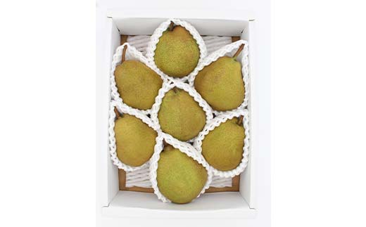 《2026年発送先行予約》ラフランス約2kg L～4L 6～8玉 らふらんす 果物 くだもの フルーツ 山形県産 F4A-0939