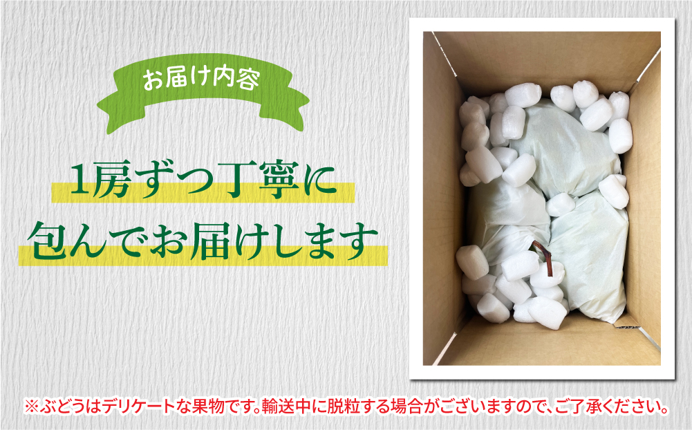 【信州東御ぶどう園】訳アリボンボンぶどう！シャインマスカットたっぷり2kg