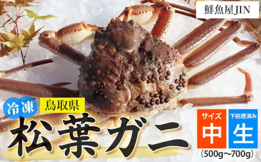 【鮮魚屋JIN】訳あり 冷凍 生松葉ガニ（中サイズ 500g~700g）下処理済み ハーフポーション 真空冷凍 カニ かに 冷凍松葉ガニ 松葉がに 松葉ガニ ズワイガニ ずわいがに 冷凍ガニ 冷凍かに 足欠け 足1本なし