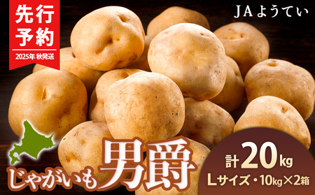 じゃがいも 馬鈴薯（男爵）Ｌサイズ　20kｇ＜JAようてい＞