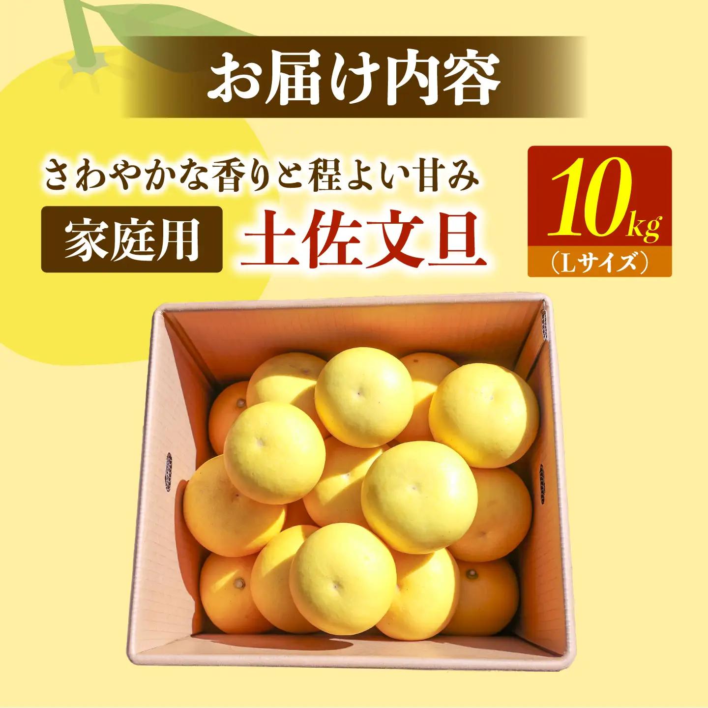 【先行予約】土佐文旦の創始 宮地文旦園の土佐文旦 家庭用小玉(L) 約10キロ 〈2027年3月上旬～4月下旬〉 高知県 土佐市【宮地文旦園】[BQBP009]