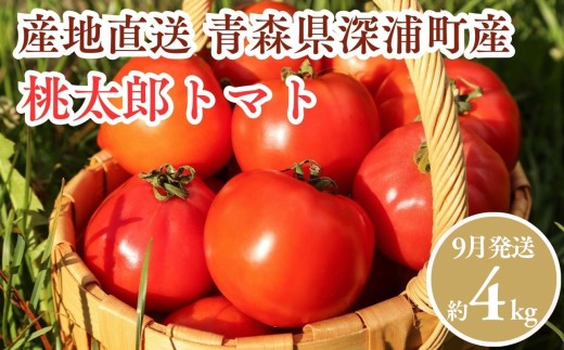 【9月発送】青森県産 桃太郎 トマト 約4kg 20玉前後